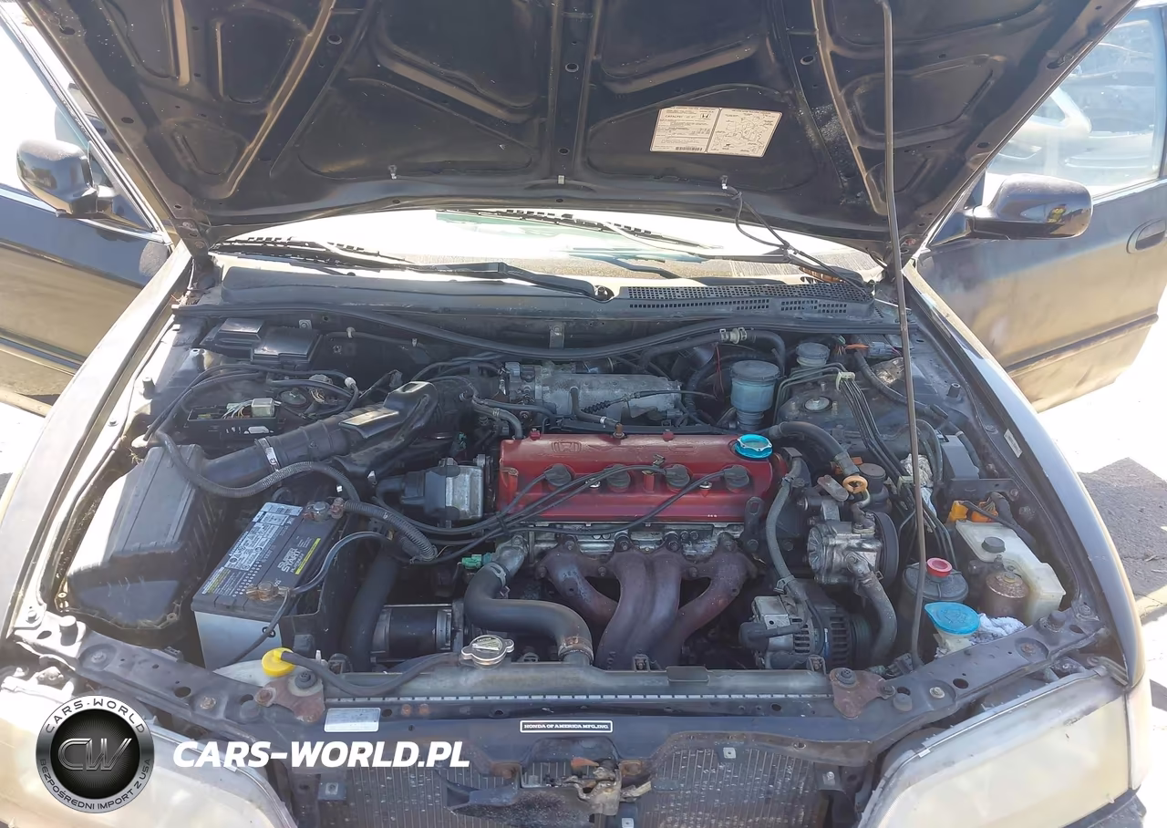 1994 Honda Accord Ex-Ex-R VIN:1HGCD5556RA029126 - 10