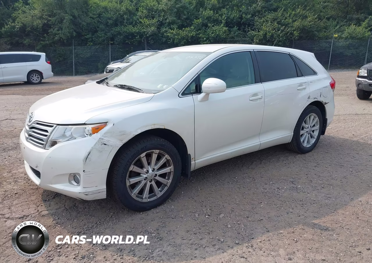 2009 Toyota Venza VIN:4T3ZE11A49U016572 - 2