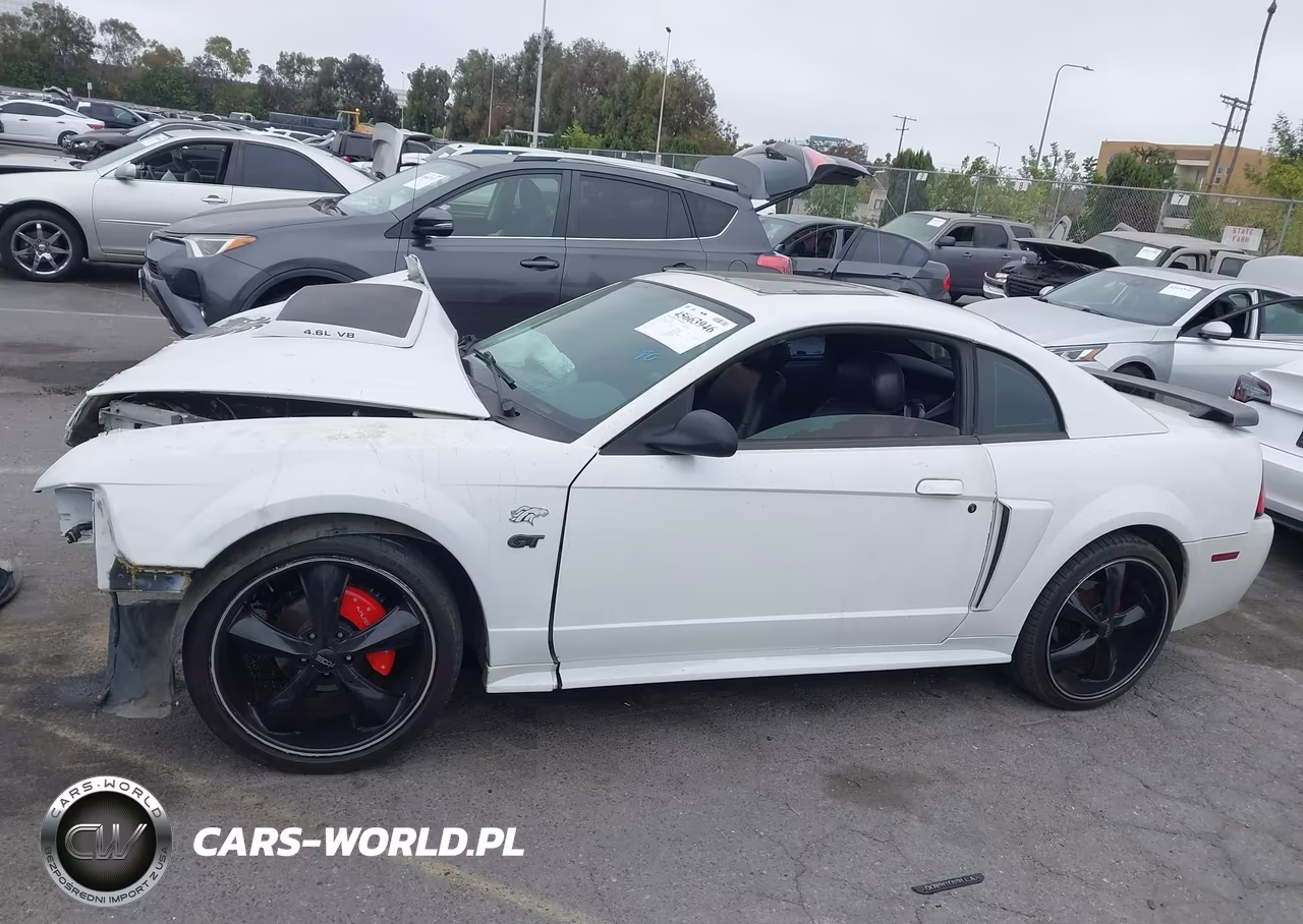 2003 Ford Mustang Gt VIN:1FAFP42X23F347795 - 16