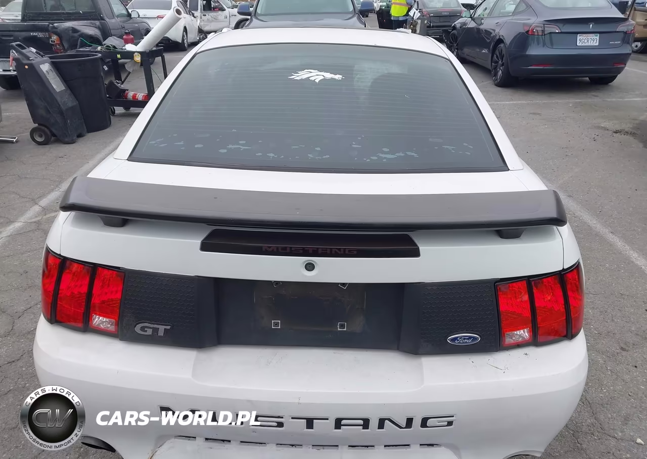 2003 Ford Mustang Gt VIN:1FAFP42X23F347795 - 18