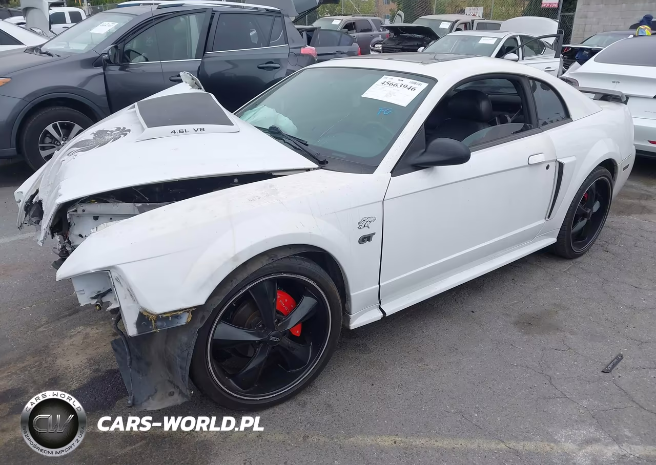 2003 Ford Mustang Gt VIN:1FAFP42X23F347795 - 2