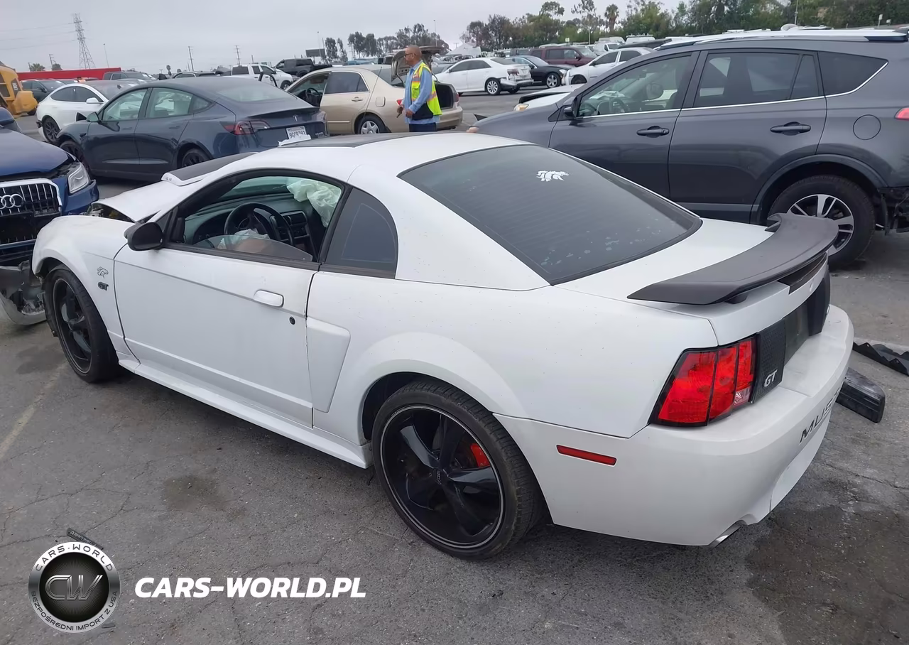2003 Ford Mustang Gt VIN:1FAFP42X23F347795 - 3