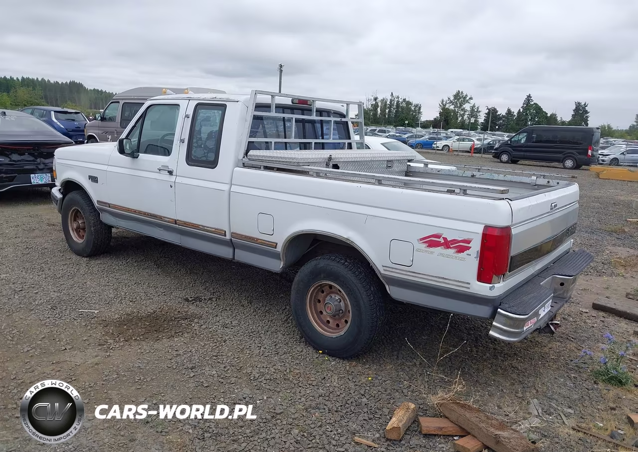 1994 Ford F150 VIN:1FTEX14N1RKB50665 - 3