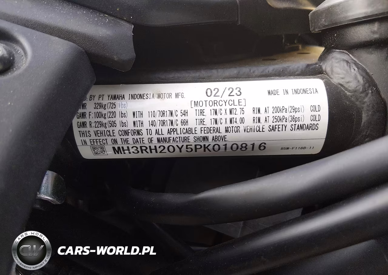 2023 Yamaha Mt-03 VIN:MH3RH20Y5PK010816 - 10