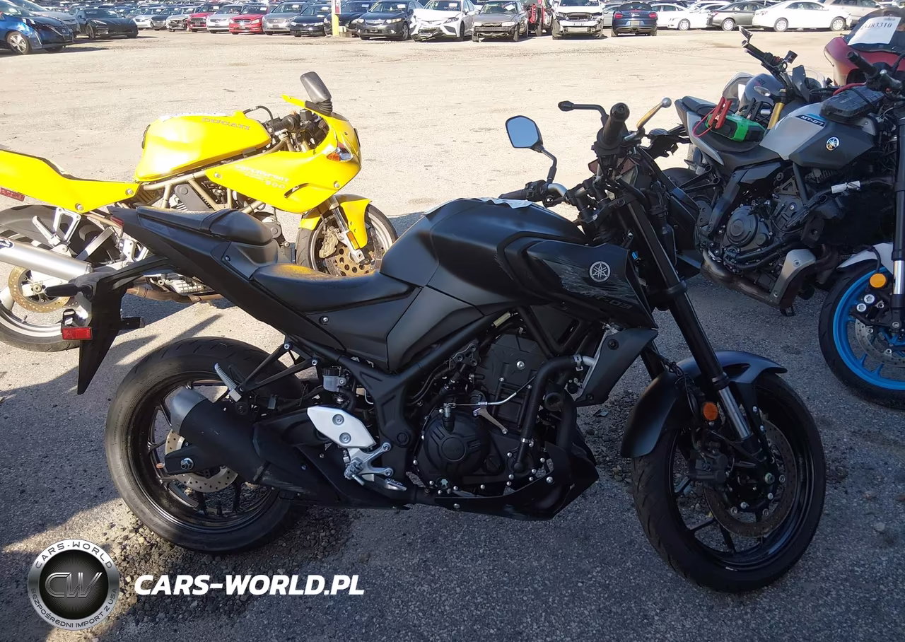 2023 Yamaha Mt-03 VIN:MH3RH20Y5PK010816 - 12