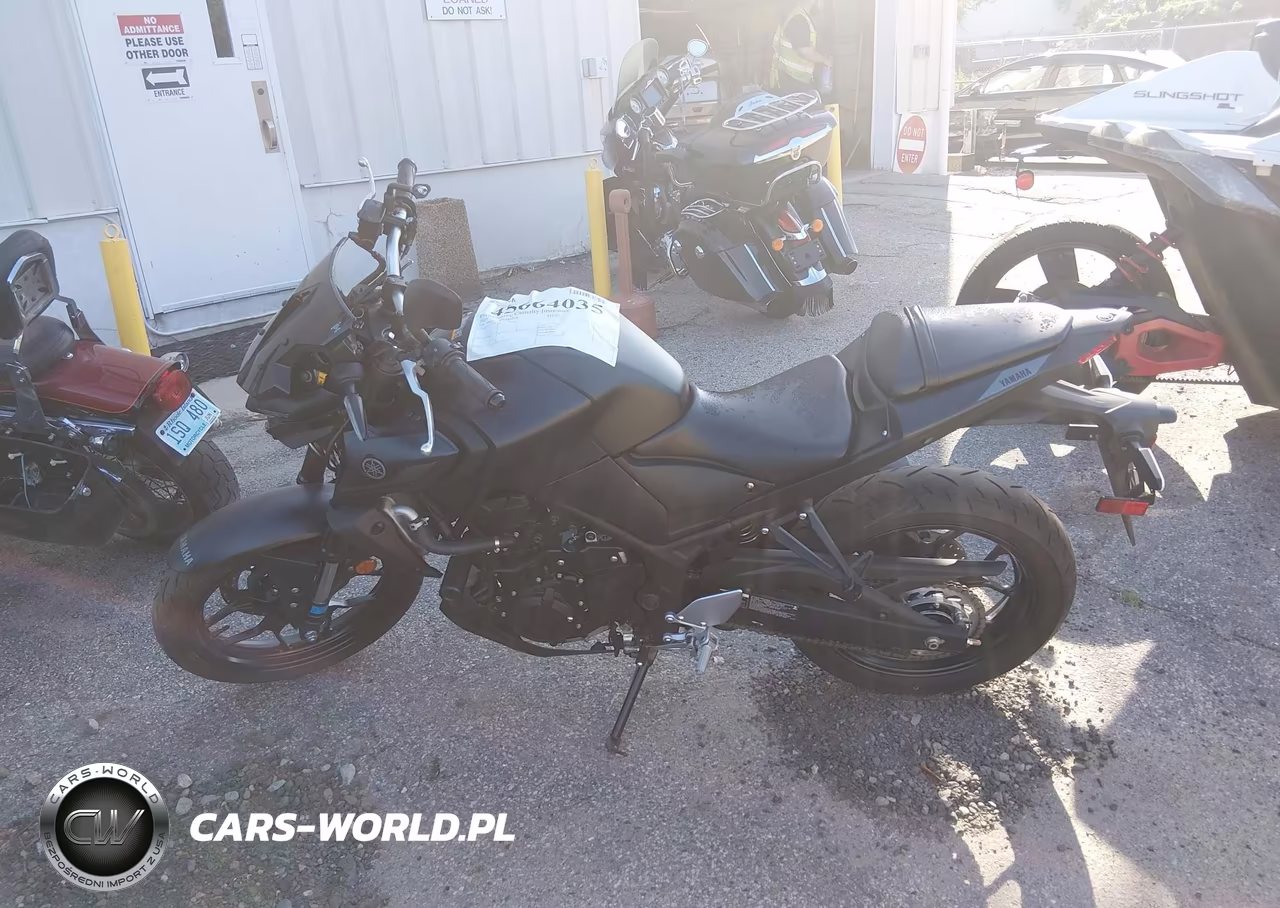 2023 Yamaha Mt-03 VIN:MH3RH20Y5PK010816 - 13