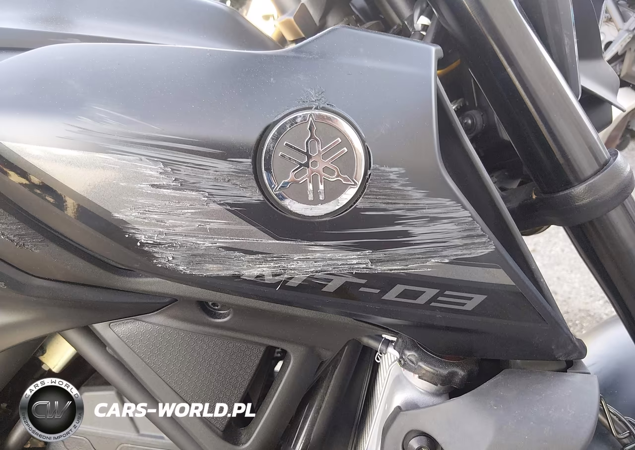 2023 Yamaha Mt-03 VIN:MH3RH20Y5PK010816 - 14