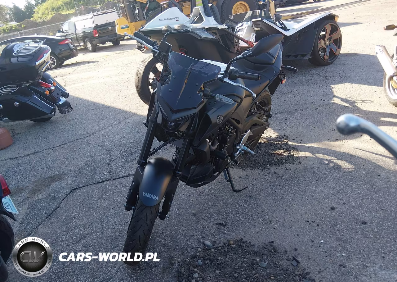 2023 Yamaha Mt-03 VIN:MH3RH20Y5PK010816 - 2