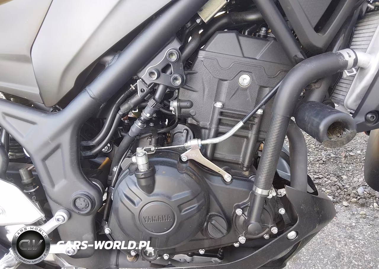 2023 Yamaha Mt-03 VIN:MH3RH20Y5PK010816 - 8