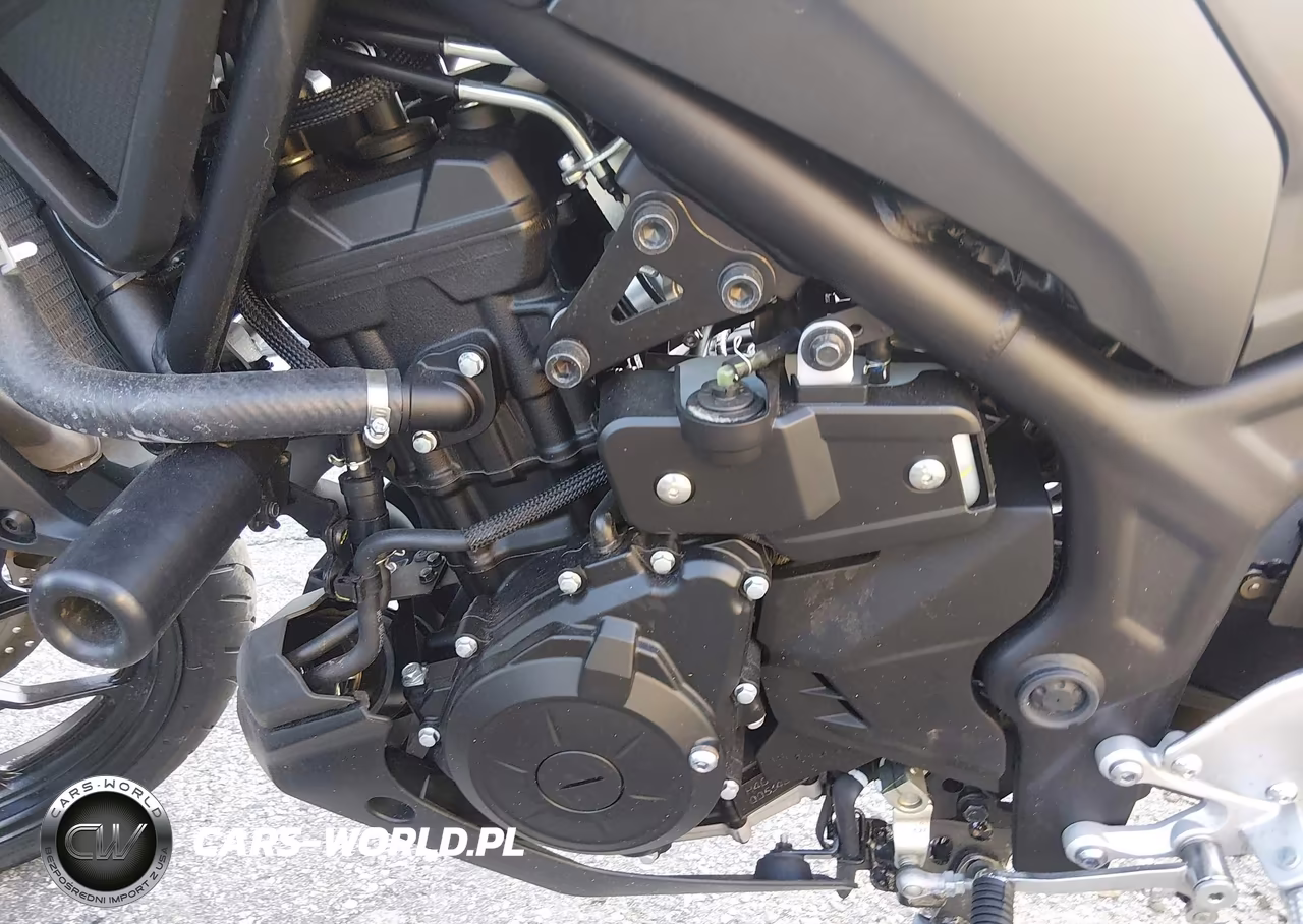 2023 Yamaha Mt-03 VIN:MH3RH20Y5PK010816 - 9