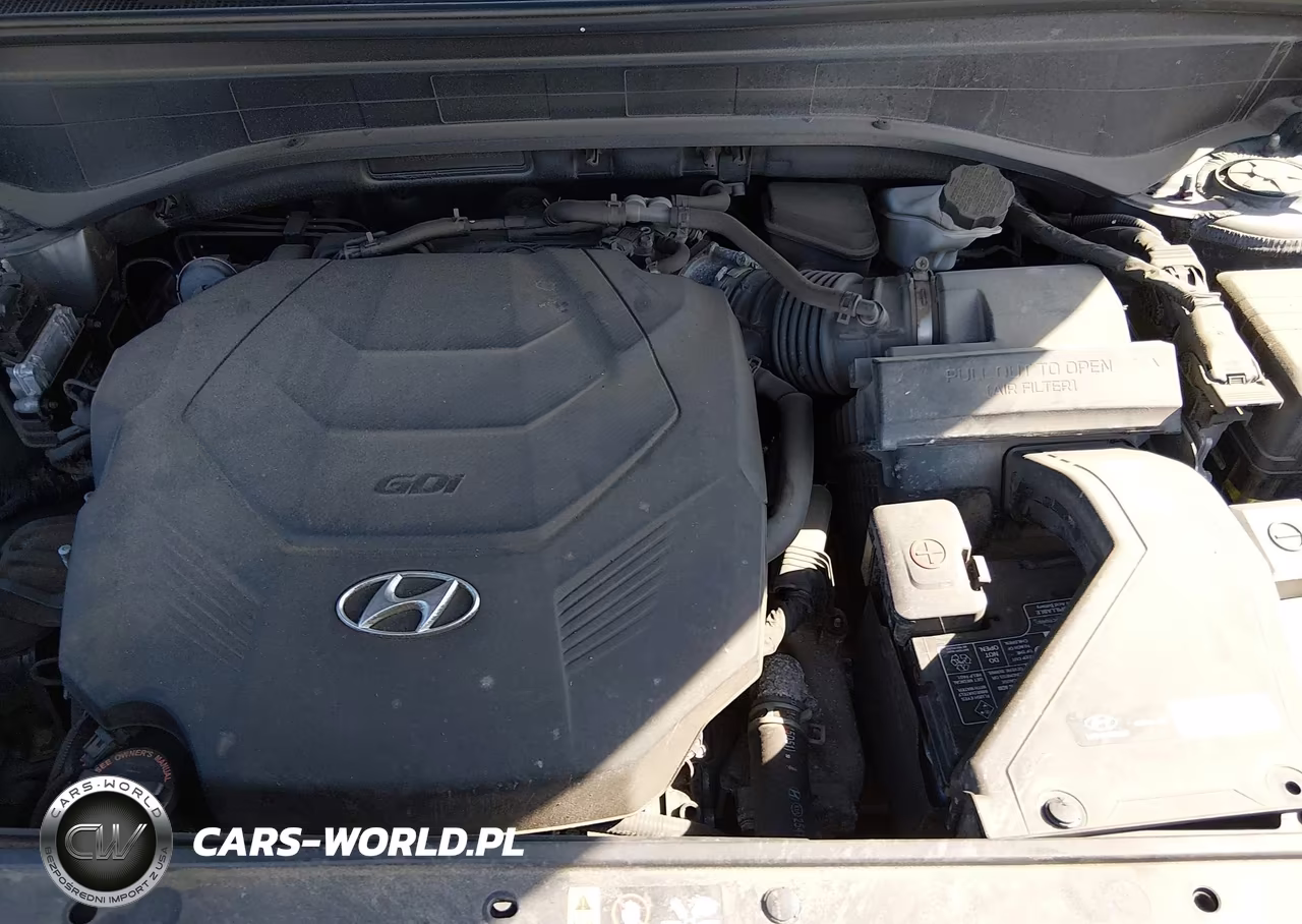 2021 Hyundai Palisade Sel VIN:KM8R4DHE8MU281364 - 10