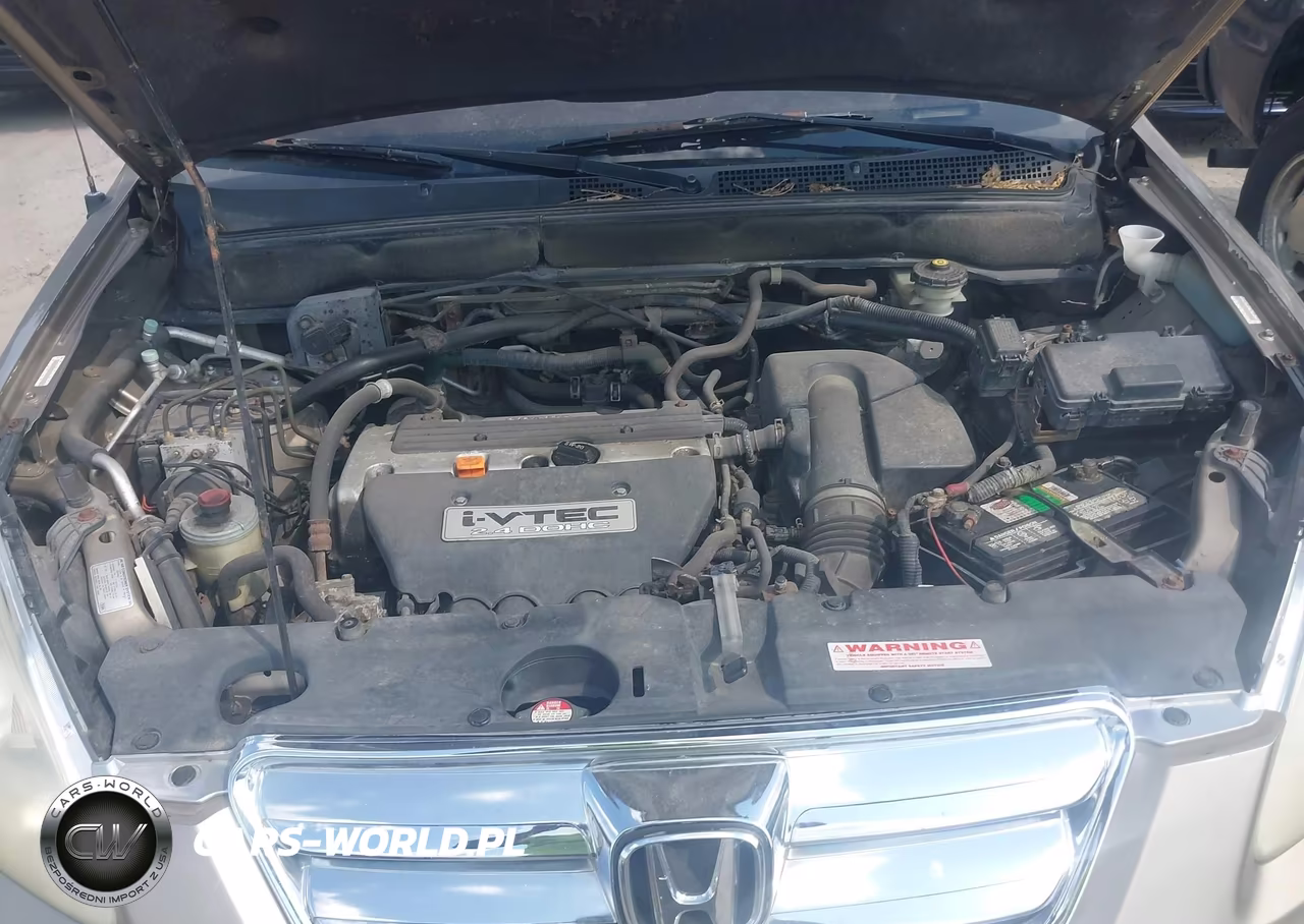 2005 Honda Cr-V Se VIN:JHLRD78985C008959 - 10