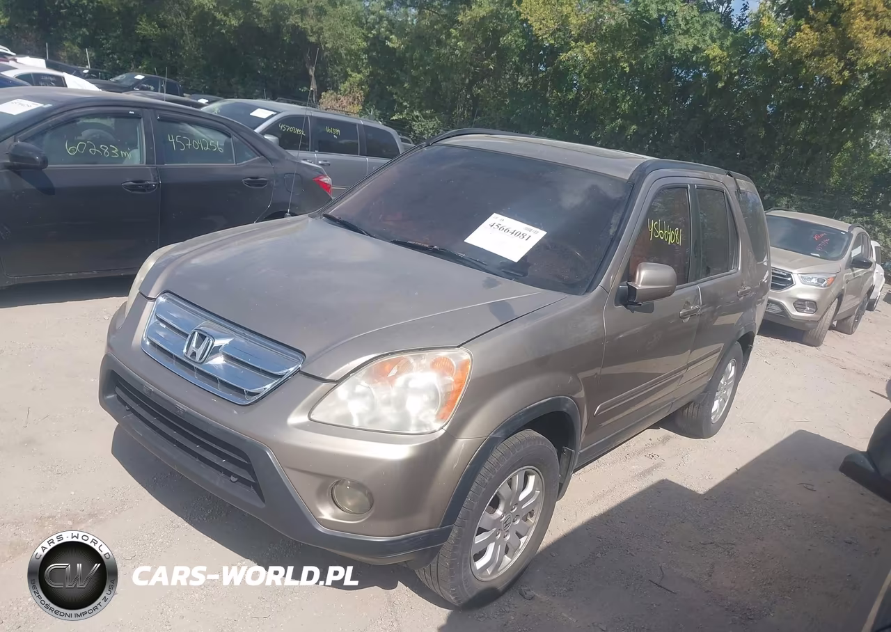 2005 Honda Cr-V Se VIN:JHLRD78985C008959 - 2