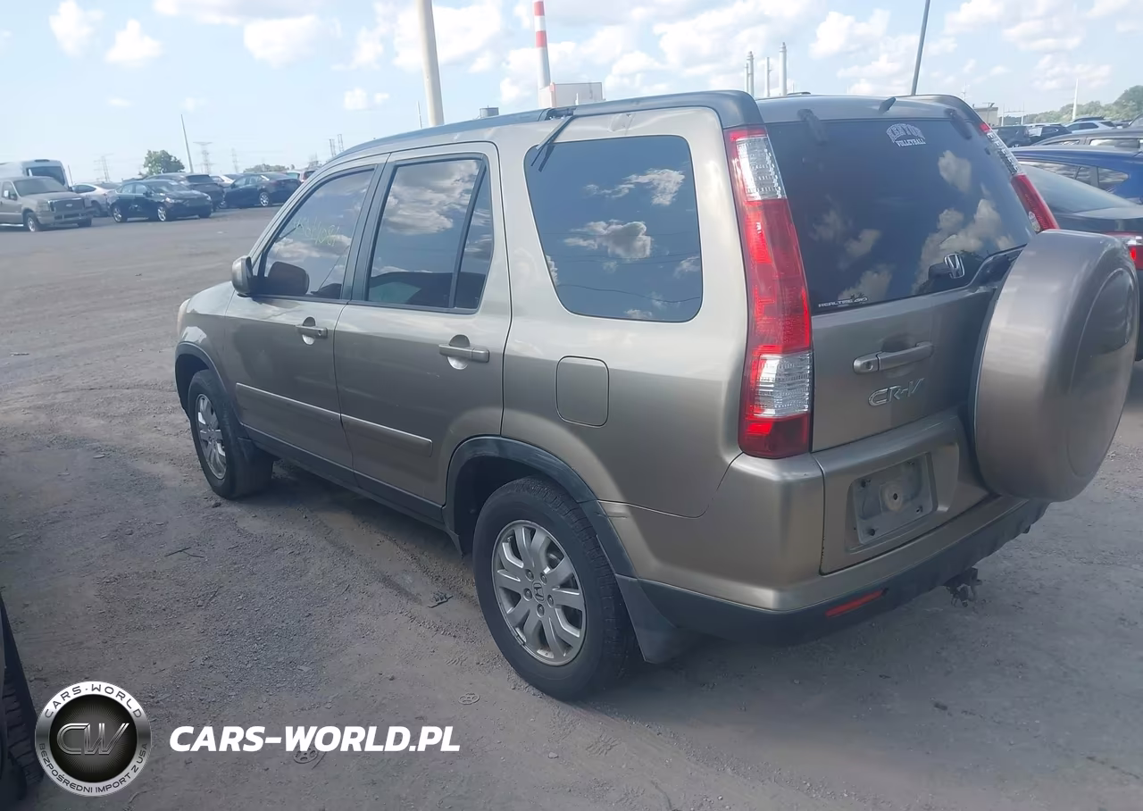 2005 Honda Cr-V Se VIN:JHLRD78985C008959 - 3