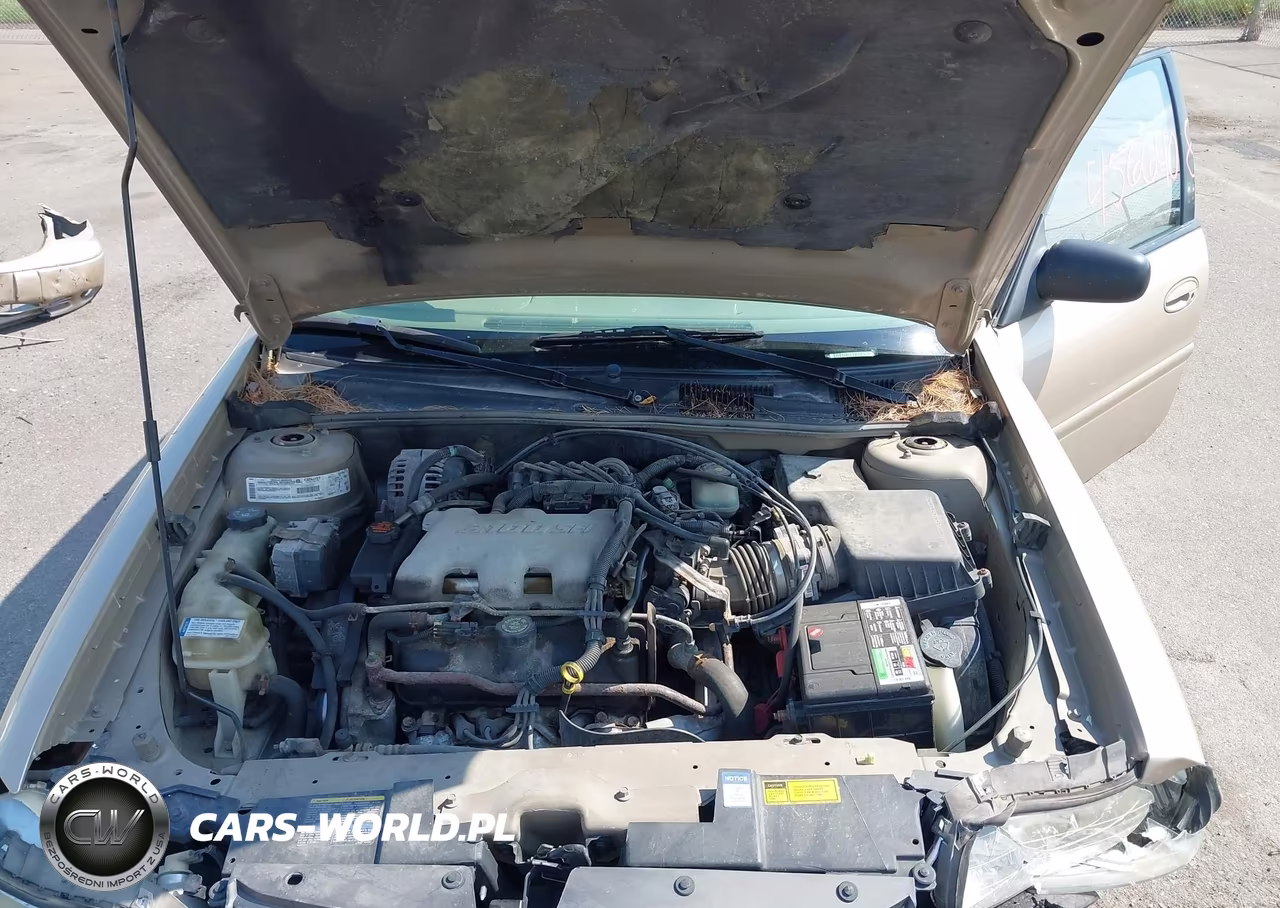 2001 Chevrolet Malibu VIN:1G1ND52J01M683057 - 10