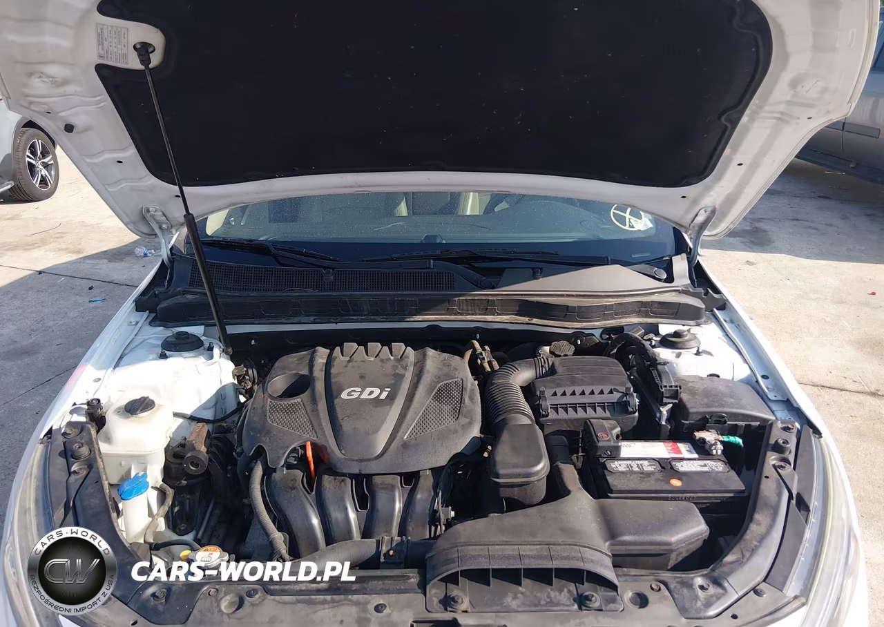 2015 Kia Optima Ex VIN:5XXGN4A71FG421462 - 10