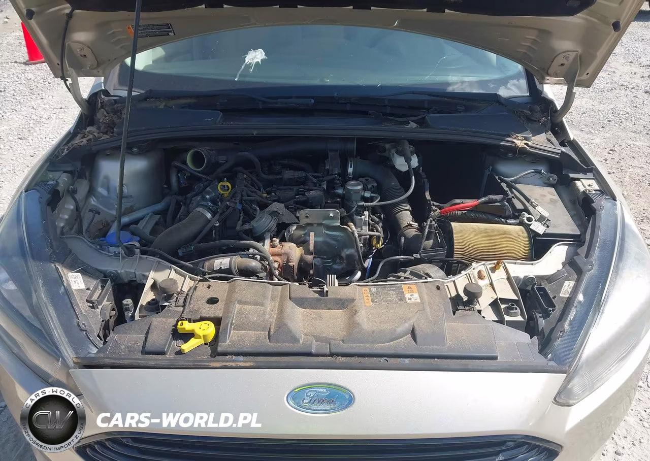 2018 Ford Focus Se VIN:1FADP3FE7JL284993 - 10