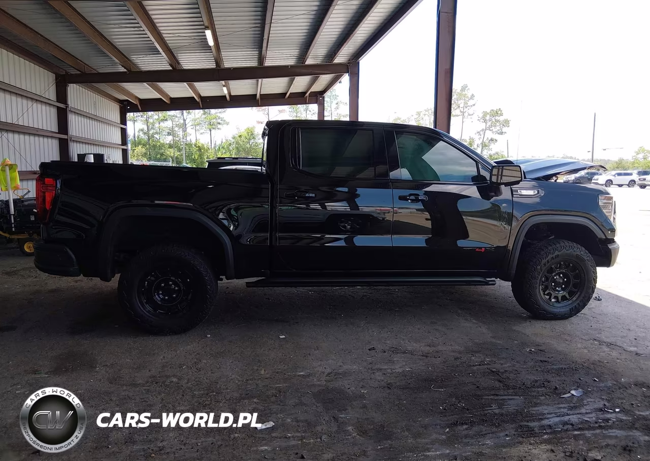 2024 GMC Sierra 1500 4Wd Short Box At4X VIN:3GTUUFE81RG399016 - 13