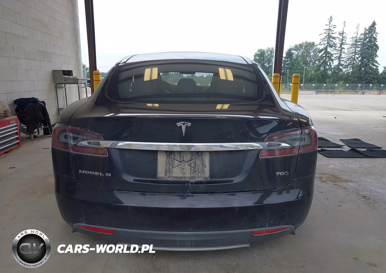 2016 Tesla Model S 60D-70D-75D-85D-90D VIN:5YJSA1E21GF121332 - 15