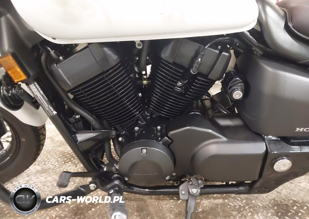 2020 Honda Vt750 C2B VIN:JH2RC5372LK100427 - 9
