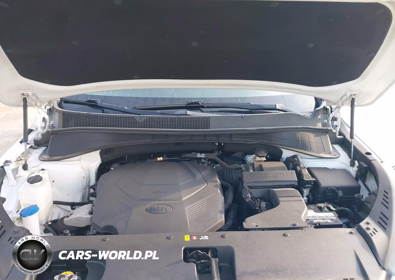 2019 Kia Sorento 3.3L Lx VIN:5XYPG4A58KG446731 - 10