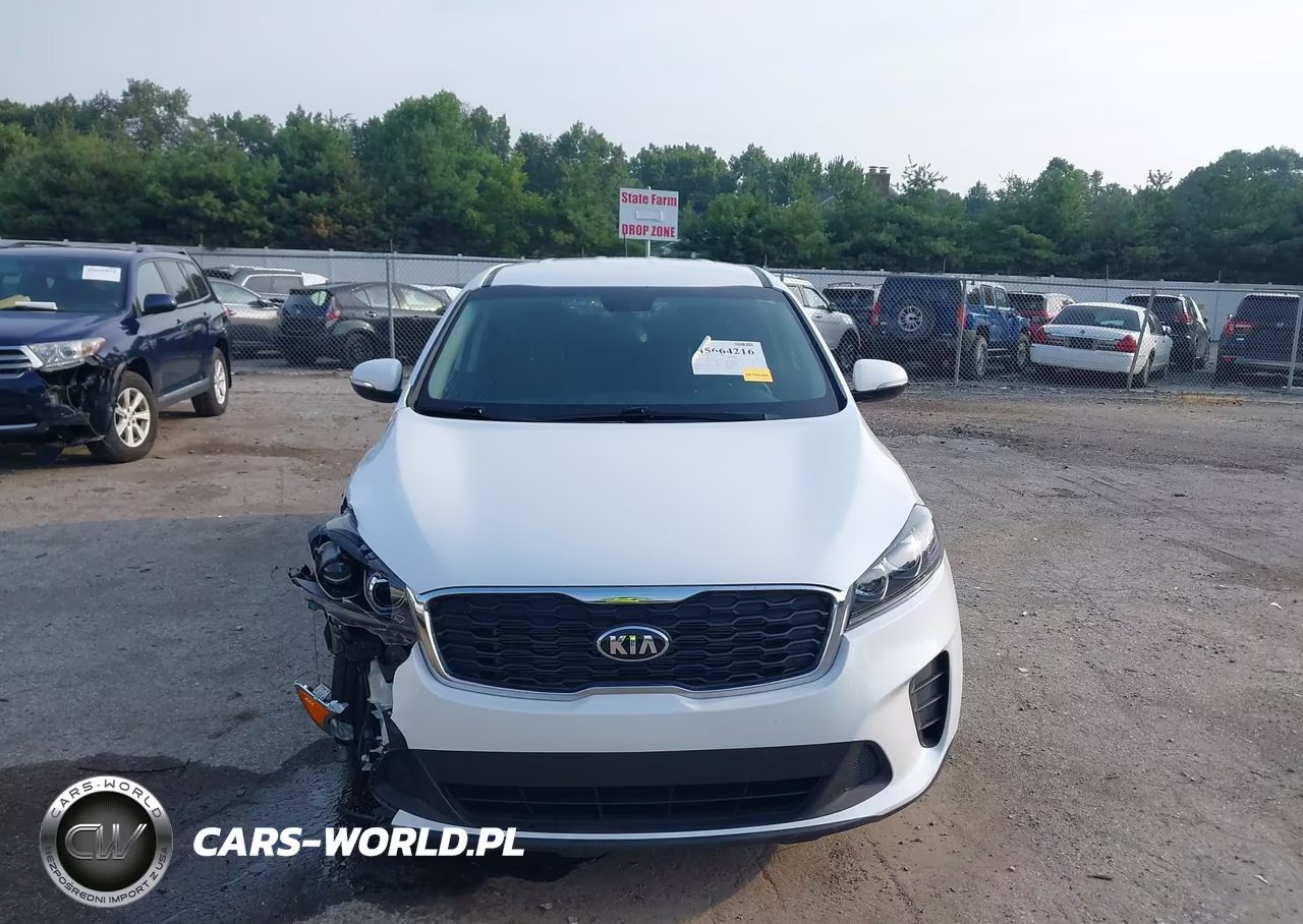 2019 Kia Sorento 3.3L Lx VIN:5XYPG4A58KG446731 - 12