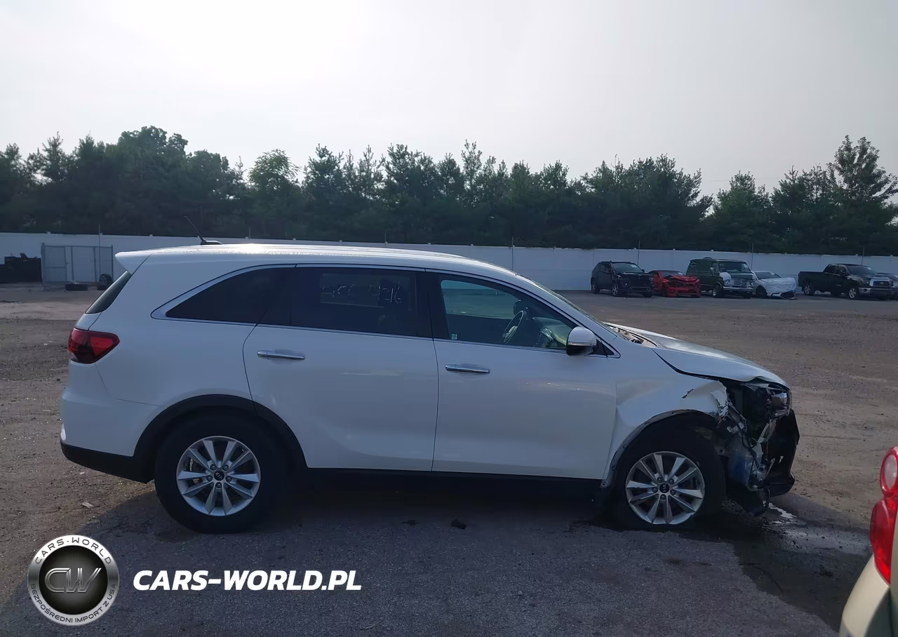2019 Kia Sorento 3.3L Lx VIN:5XYPG4A58KG446731 - 13
