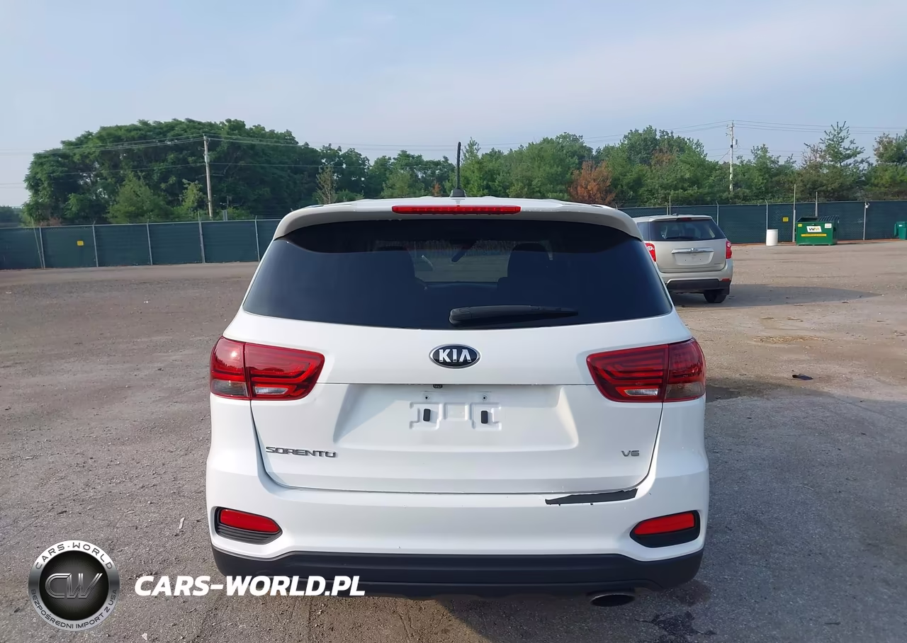 2019 Kia Sorento 3.3L Lx VIN:5XYPG4A58KG446731 - 16
