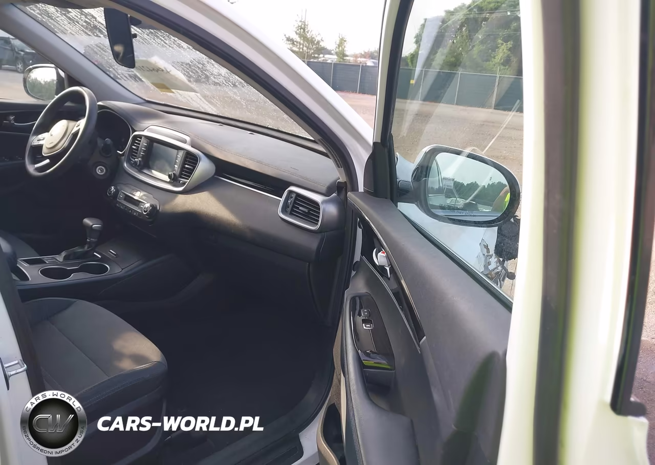 2019 Kia Sorento 3.3L Lx VIN:5XYPG4A58KG446731 - 5
