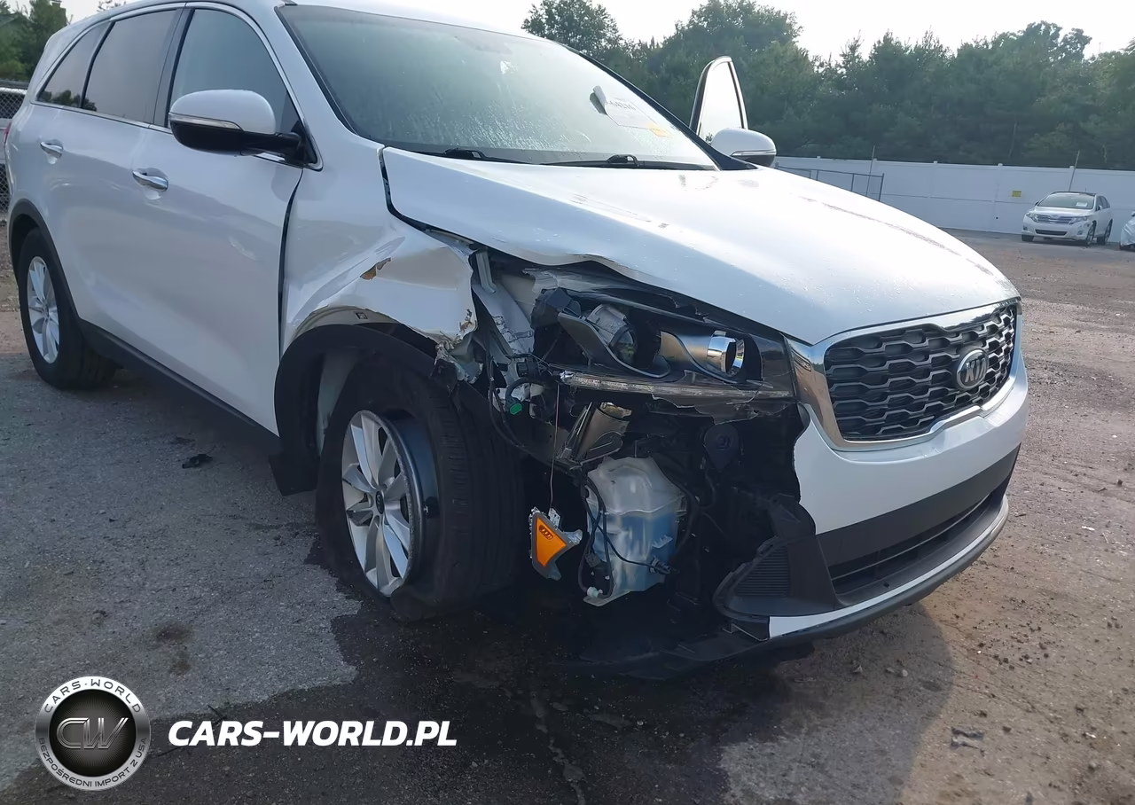 2019 Kia Sorento 3.3L Lx VIN:5XYPG4A58KG446731 - 6