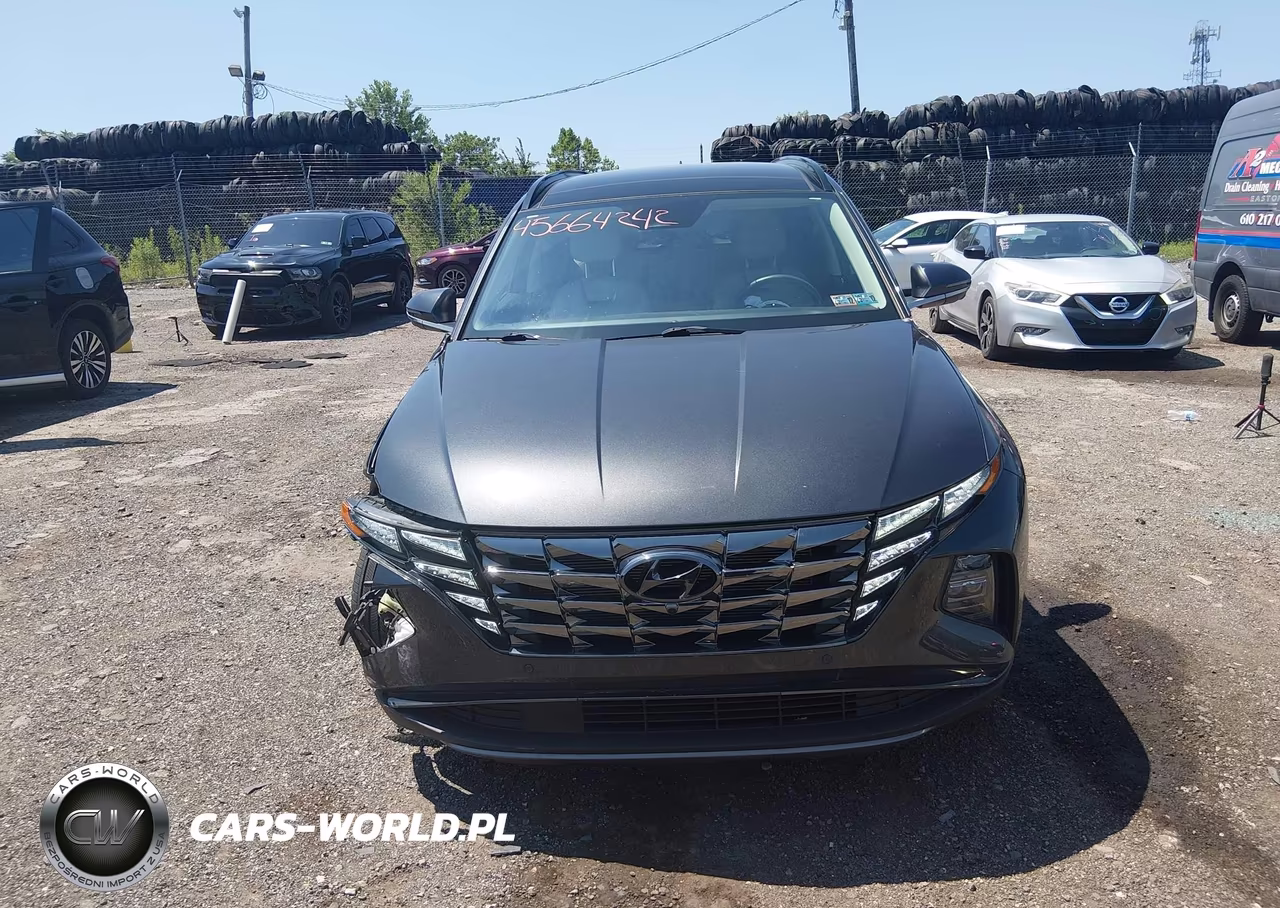 2023 Hyundai Tucson Limited VIN:5NMJECAE2PH192582 - 12