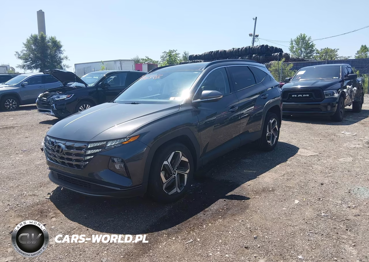 2023 Hyundai Tucson Limited VIN:5NMJECAE2PH192582 - 2