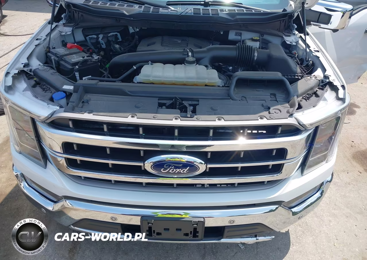 2021 Ford F-150 Lariat VIN:1FTFX1E81MKD97383 - 10