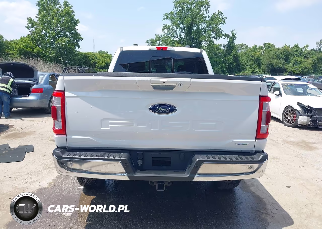 2021 Ford F-150 Lariat VIN:1FTFX1E81MKD97383 - 16