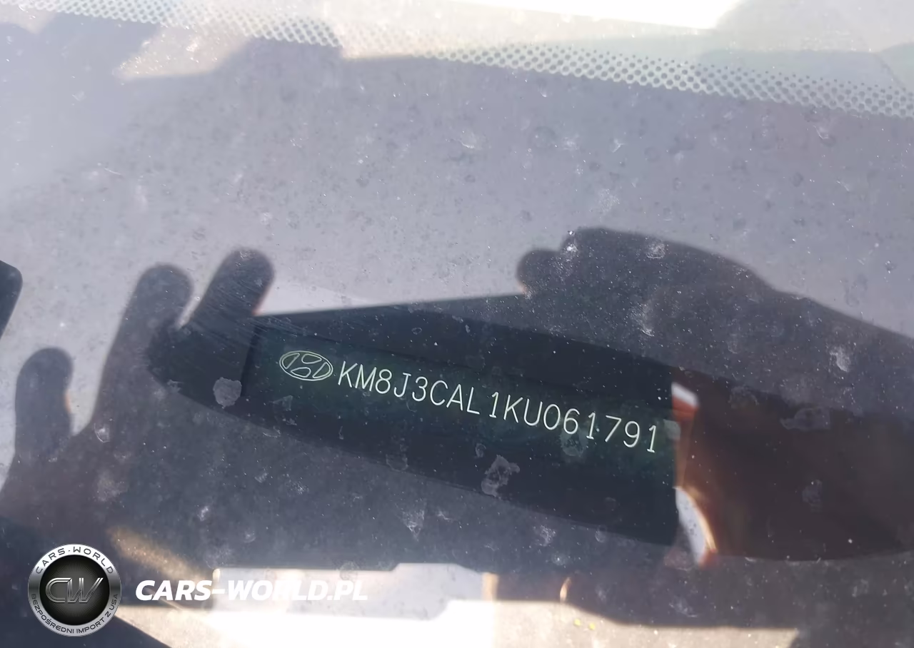 2019 Hyundai Tucson Sel VIN:KM8J3CAL1KU061791 - 17