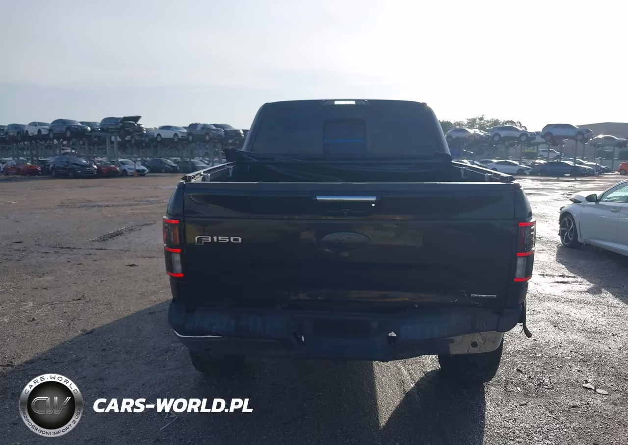 2015 Ford F-150 Lariat VIN:1FTEW1EF3FFB38533 - 16