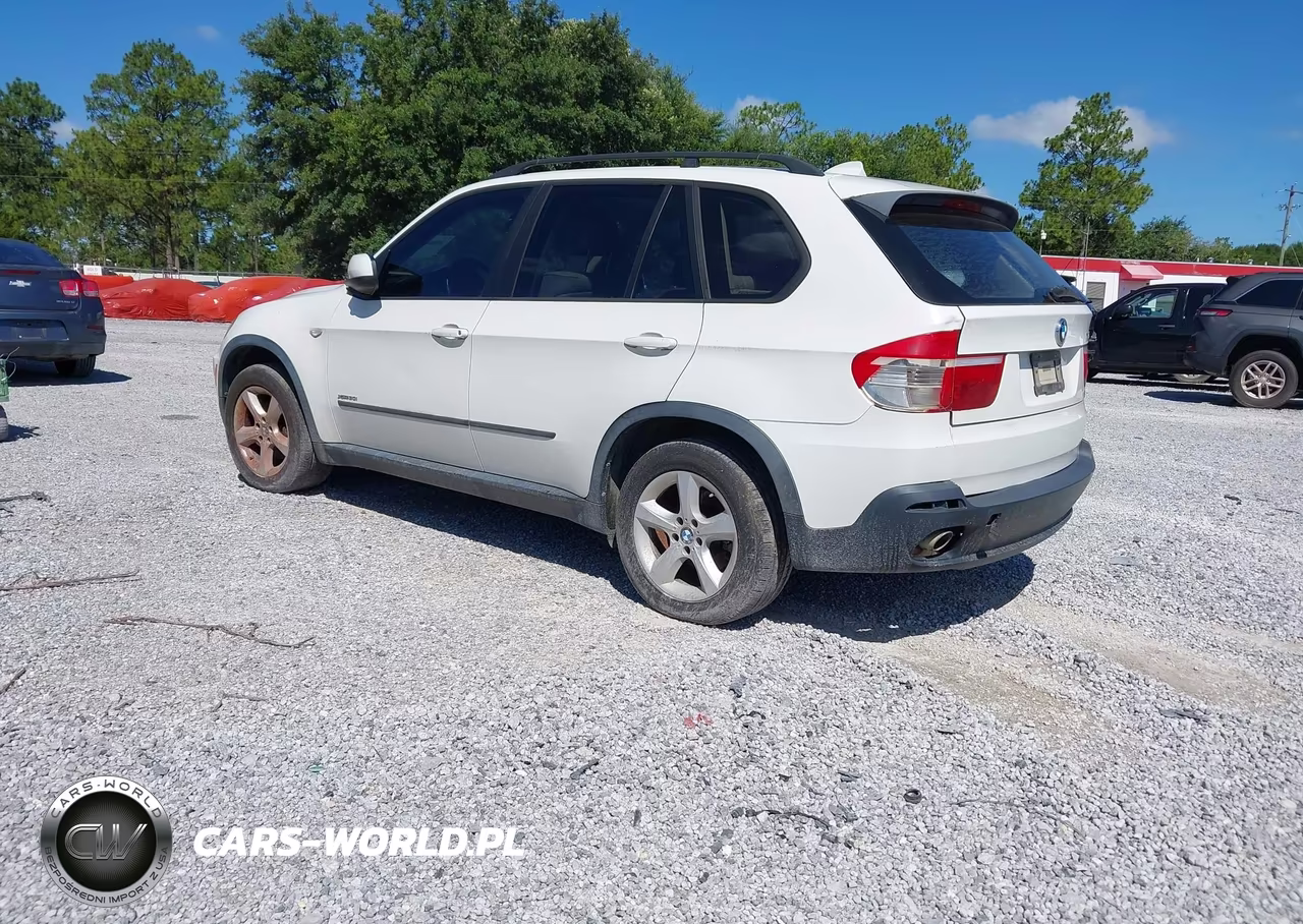 2009 BMW X5 xDrive30I VIN:5UXFE435X9L267795 - 3