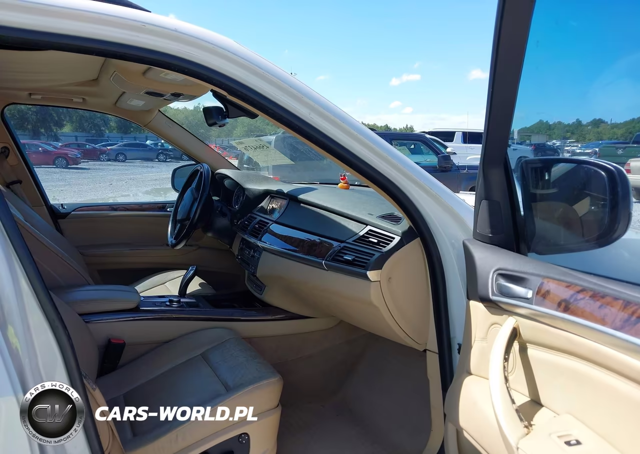 2009 BMW X5 xDrive30I VIN:5UXFE435X9L267795 - 5