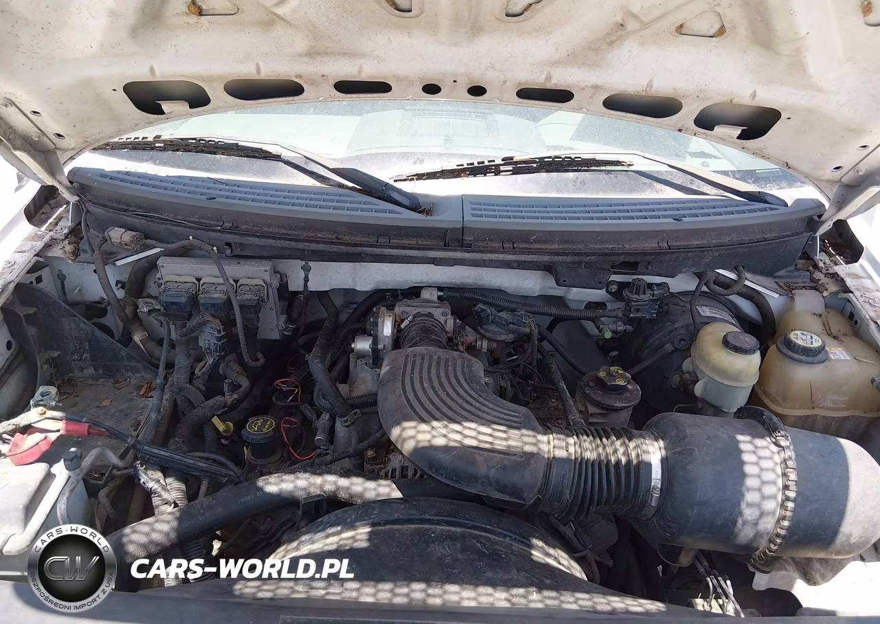 2006 Ford F-150 Stx-Xl-Xlt VIN:1FTRX12W36NA29949 - 10