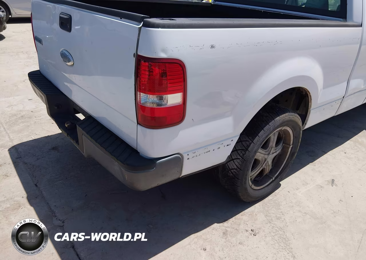 2006 Ford F-150 Stx-Xl-Xlt VIN:1FTRX12W36NA29949 - 6