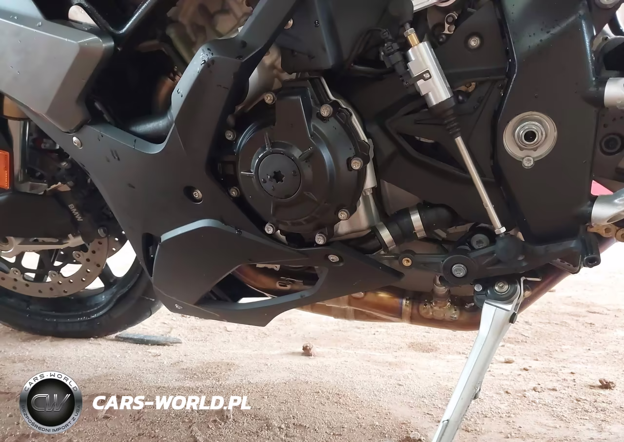 2026 BMW S 1000 Rr VIN:WB10P2307T6M98473 - 9