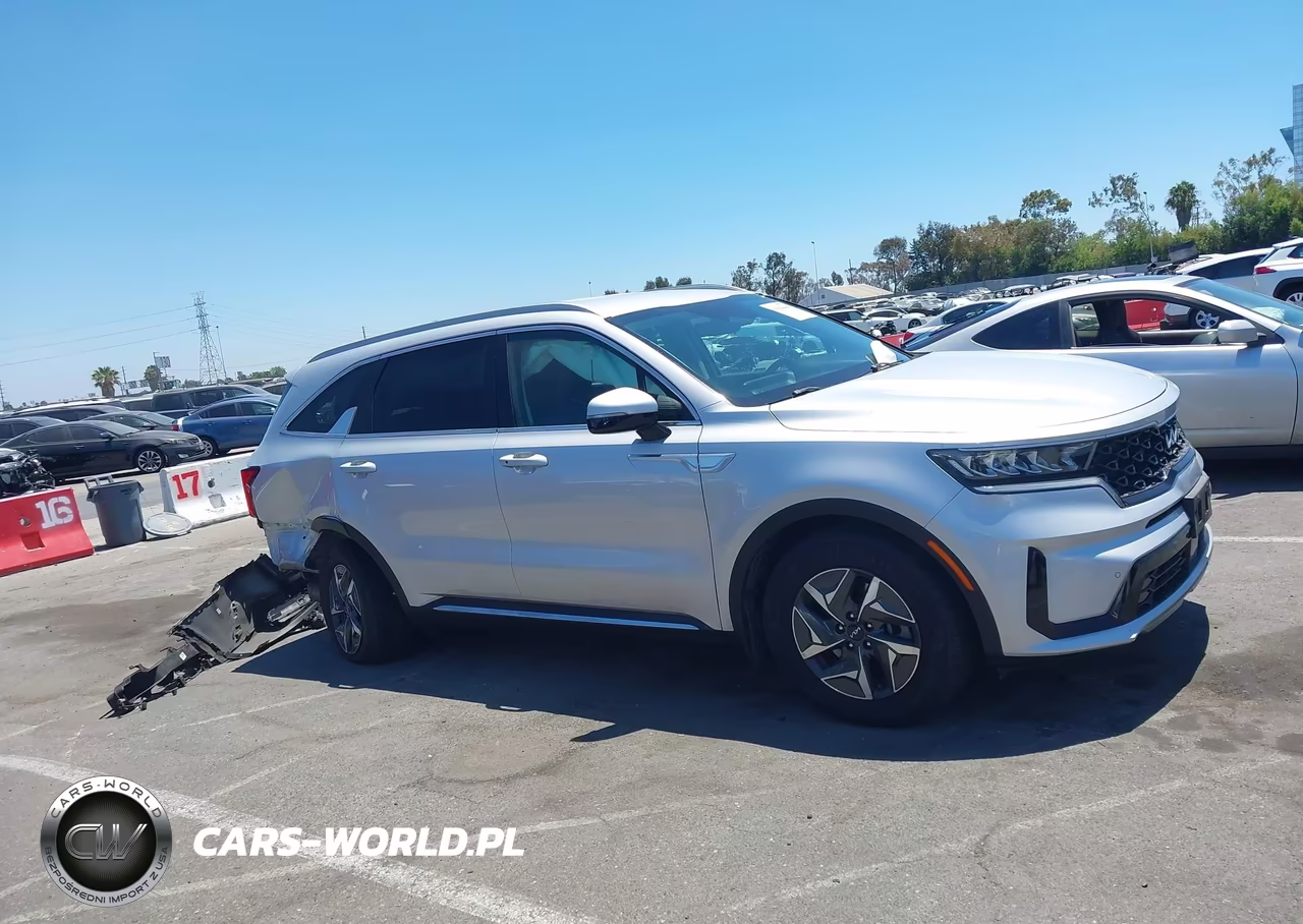 2022 Kia Sorento Hybrid Ex VIN:KNDRH4LG0N5062007 - 13