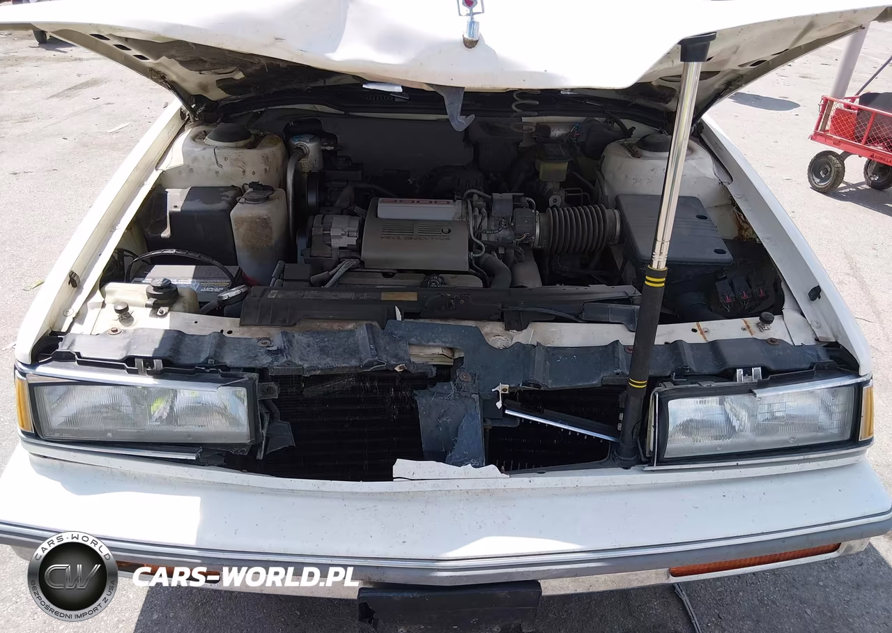 1988 Oldsmobile Delta 88 Royale Brougham VIN:1G3HY53CXJW405490 - 10