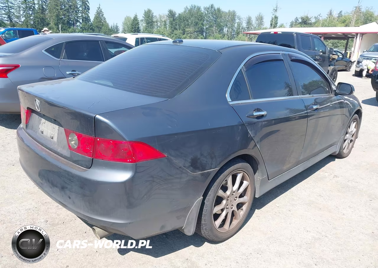 2006 Acura Tsx VIN:JH4CL96936C033370 - 4
