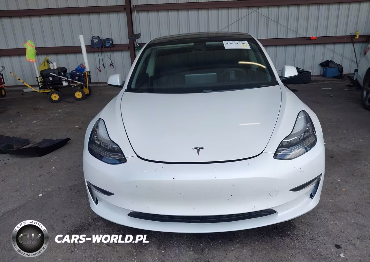 2021 Tesla Model 3 Standard Range Plus Rear-Wheel Drive VIN:5YJ3E1EA8MF856708 - 11