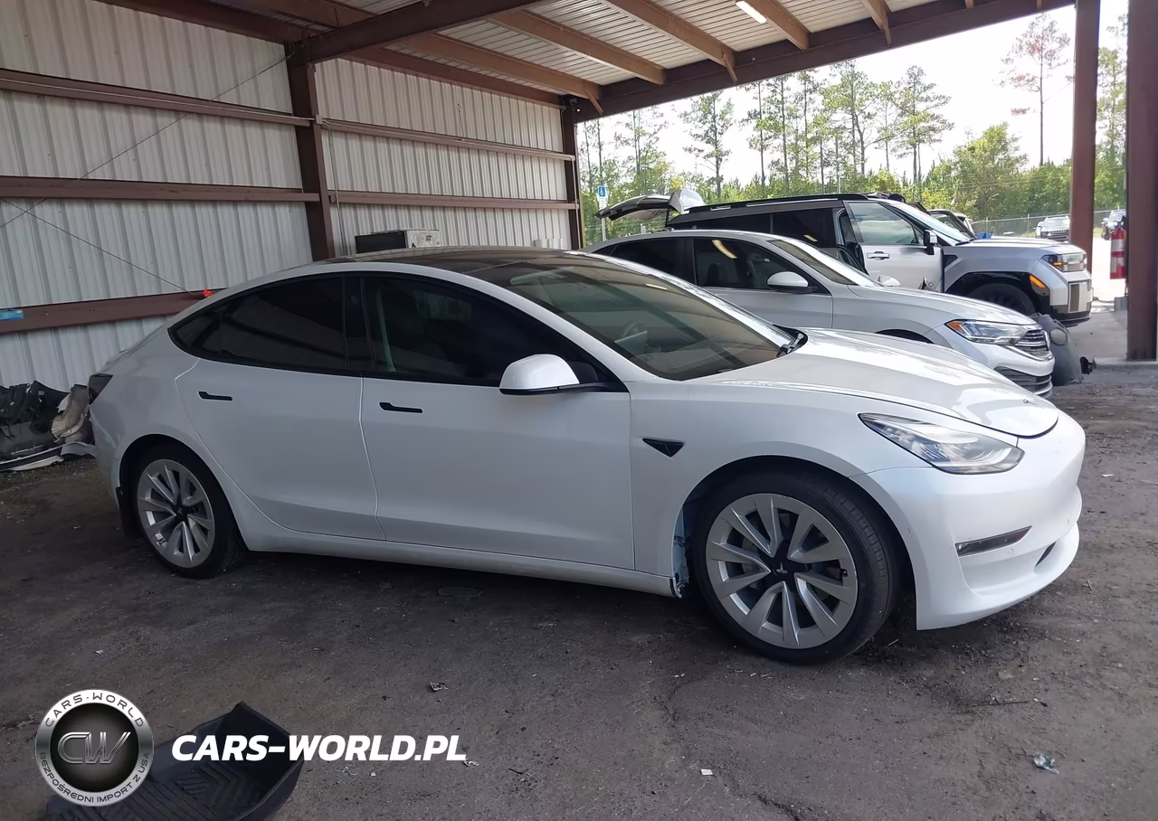 2021 Tesla Model 3 Standard Range Plus Rear-Wheel Drive VIN:5YJ3E1EA8MF856708 - 12