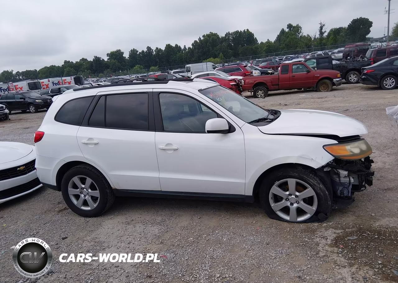 2010 Hyundai Santa Fe Se VIN:5NMSHDAG8AH387659 - 14