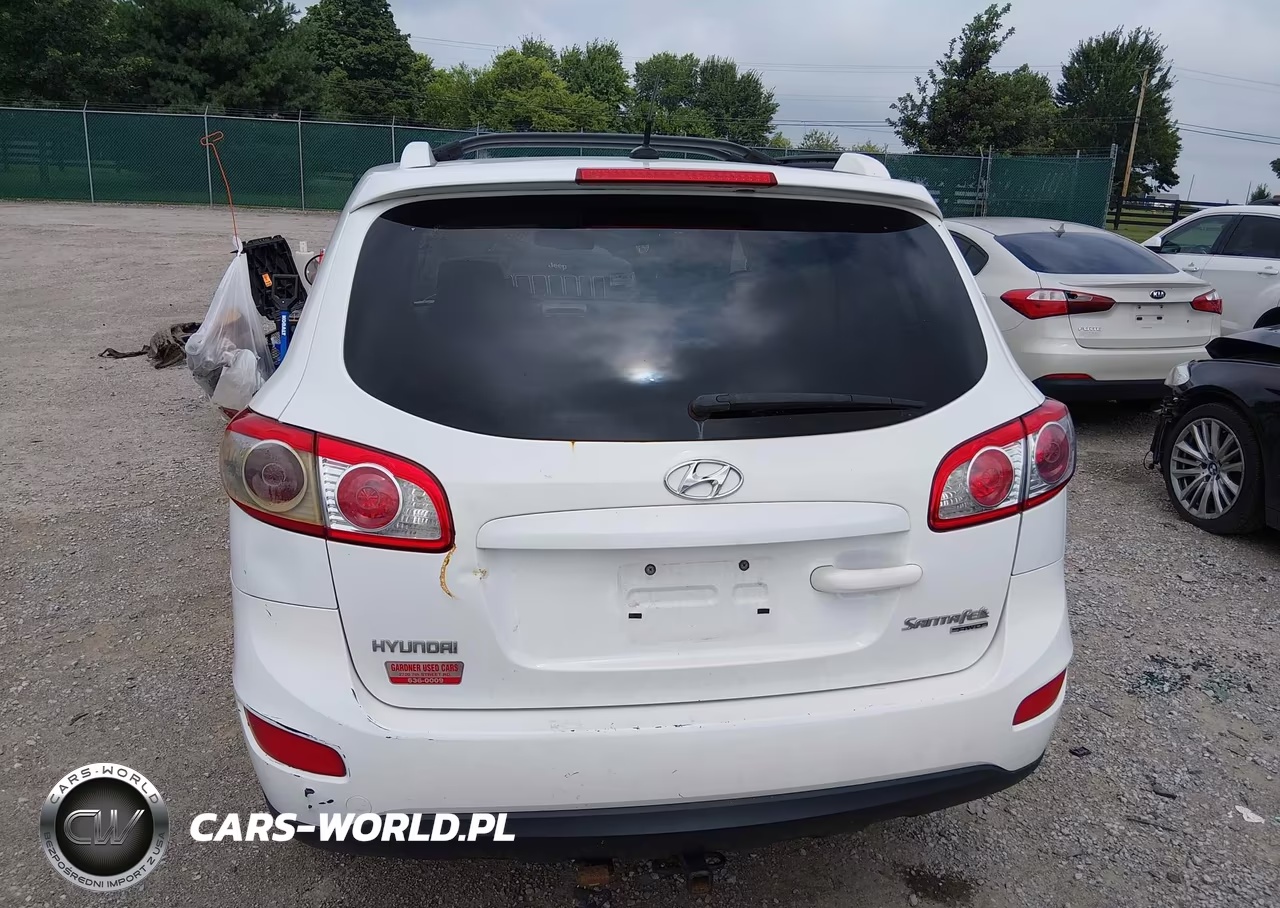 2010 Hyundai Santa Fe Se VIN:5NMSHDAG8AH387659 - 17