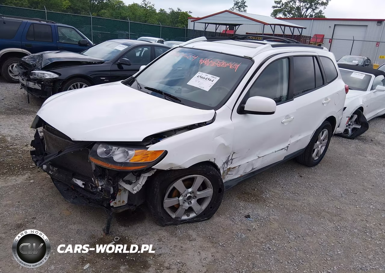 2010 Hyundai Santa Fe Se VIN:5NMSHDAG8AH387659 - 2