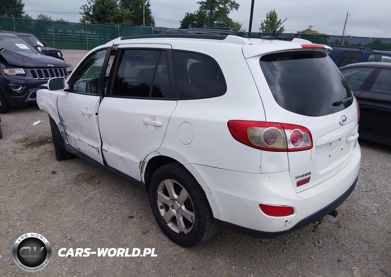2010 Hyundai Santa Fe Se VIN:5NMSHDAG8AH387659 - 3